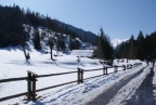 dsc00021