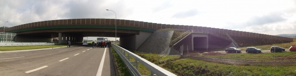 . Borek Wielki- przejście dla zwierząt nad autostradą A-4