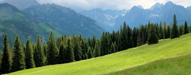 Rusinowa Polana